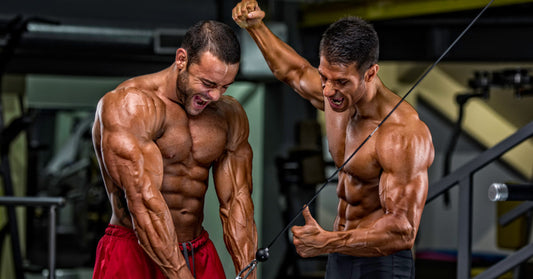 SLU-PP-332: A Breakthrough for Fat Loss and Lean Muscle Growth